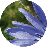 slider_rund_2 slider_rund_2